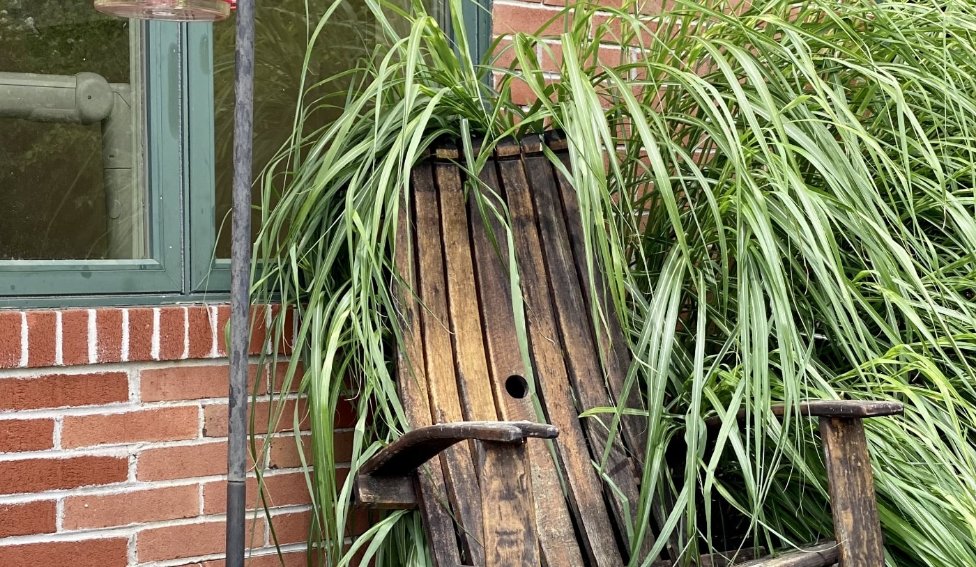 Wooden chair in front of red brick building with ferns growing around it