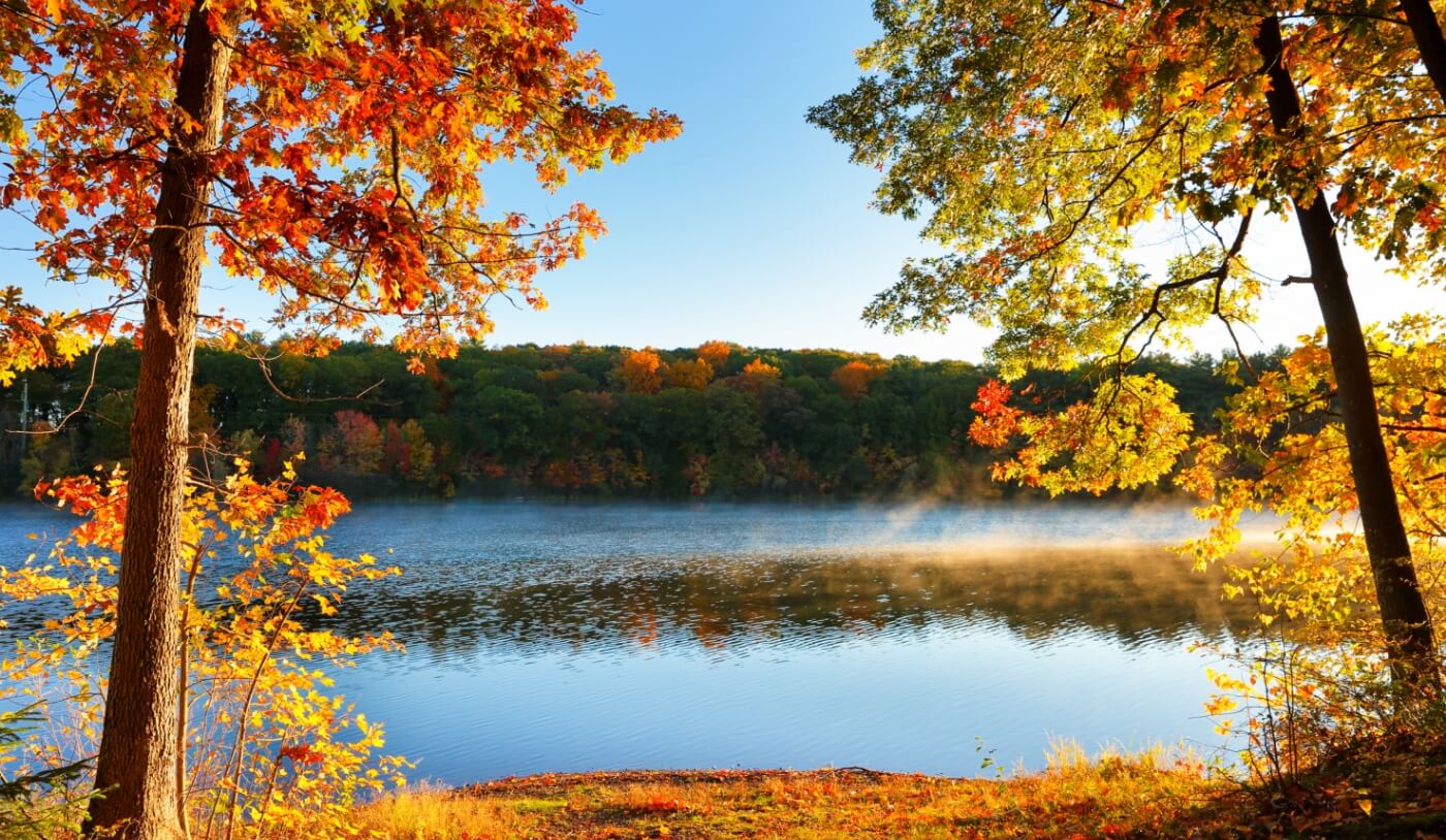 Pond surrounded by trees with red and gold leaves